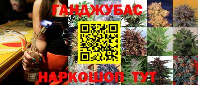 СК Чебоксары