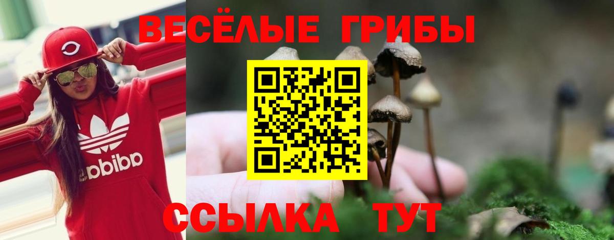Псилоцибиновые грибы Psilocybe  Вход с VPN  Уварово 